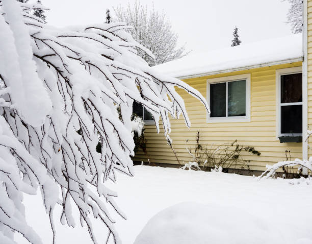 House and yard covered in thick heavy wet snow stock photo