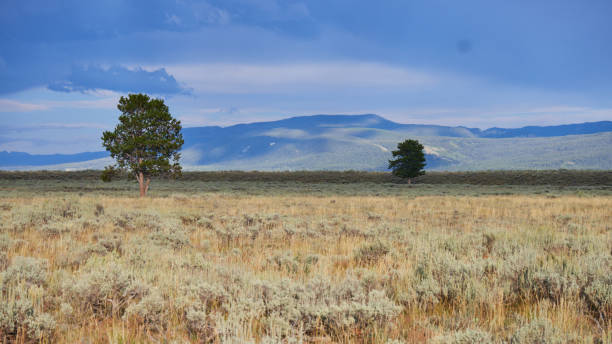 istock Grand Teton National Park 1433711254