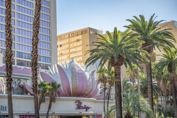 Flamingo Hotel and Casino sign, beyond palm trees, on Las Vegas Boulevard. stock photo