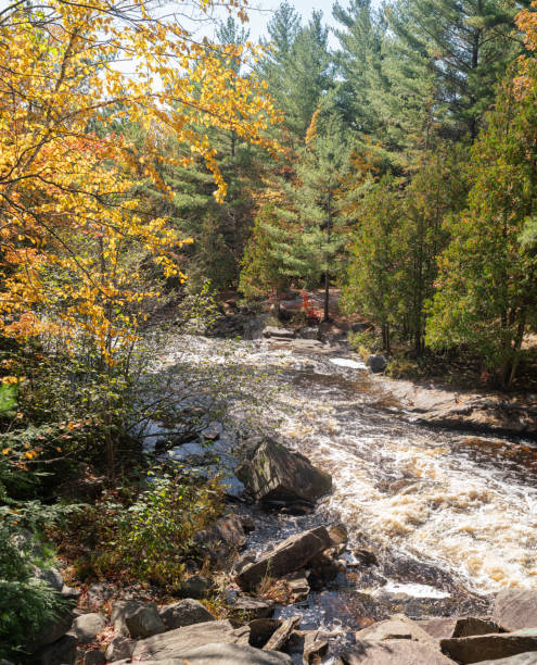 istock Duchesnay Falls Trails - Water flowing down Rocks 1433715158
