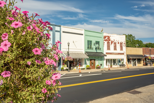 View of Inman, South Carolina. Focus on a beautiful, flowering bush with downtown Inman in the background. Colorful shops in a quaint, rural, small, southern town.