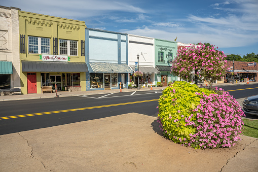 Inman, SC - August 7, 2022: Downtown, shallow focus on the close leaves of a beautiful flowering bush. Quaint shops beyond. Perfect, typical small, southern town.