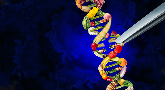 Agriculture genetic editing and agricultural CRISPR concept or gene engineering of food as a group of farm produce shaped as a DNA strand with 3D illustration elements.