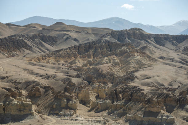istock Earth forest landform in Zada County 1433734230