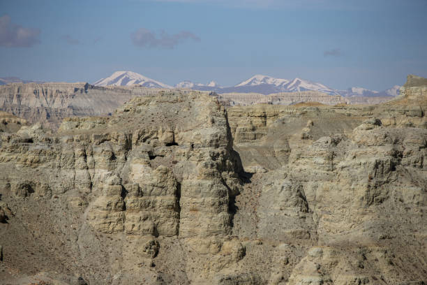 istock Earth forest landform in Zada County 1433735058