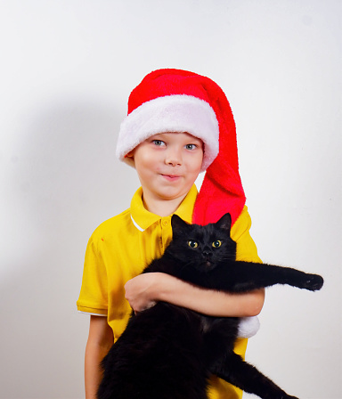 a boy in a yellow T-shirt and a Santa Claus Christmas hat holds a black cat isolated on a white background.