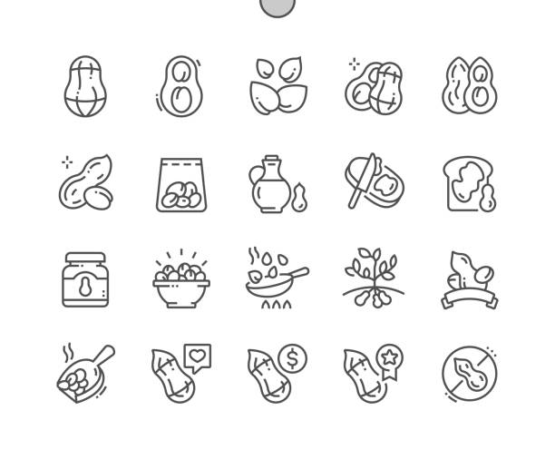 peanut. nature vegetable organic food nutrition. nut collection. pixel perfect vector thin line icons. simple minimal pictogram - nuts stock illustrations