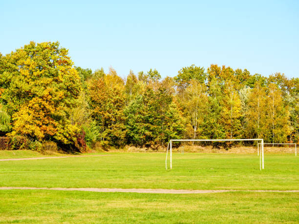 istock Soccer field in an autumn training green park 1433742408