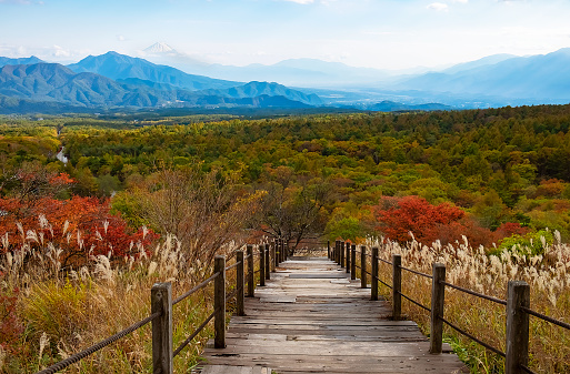 Forest and Mt. Fuji as seen from the Utsukushimori  in autumn
