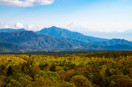 Autumn forest and Mount Fuji seen from Utsukushimori