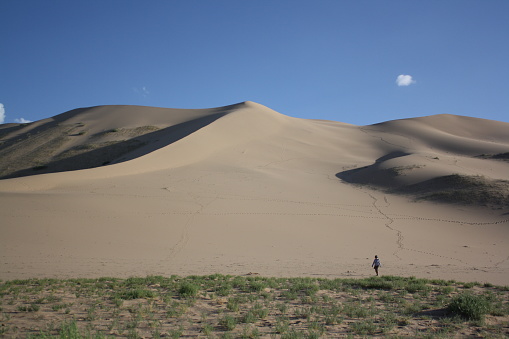 Walking along the lovely vastness of Khongor sand dunes with the border of green vegetation side. It is in Gobi desert, South Mongolia, Central Asia.