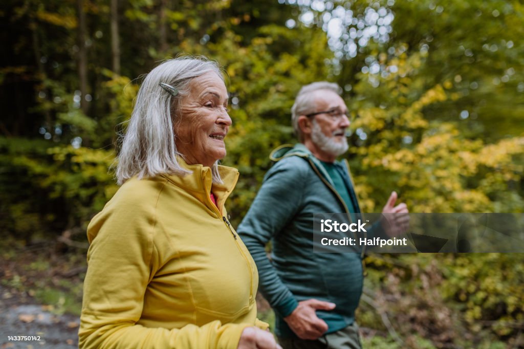 Happy senior couple hiking in autumn forest. Happy senior couple hiking in autumn nature. Sprint Stock Photo