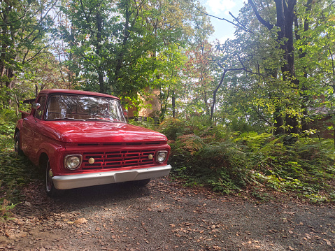 old pickup truck in forest