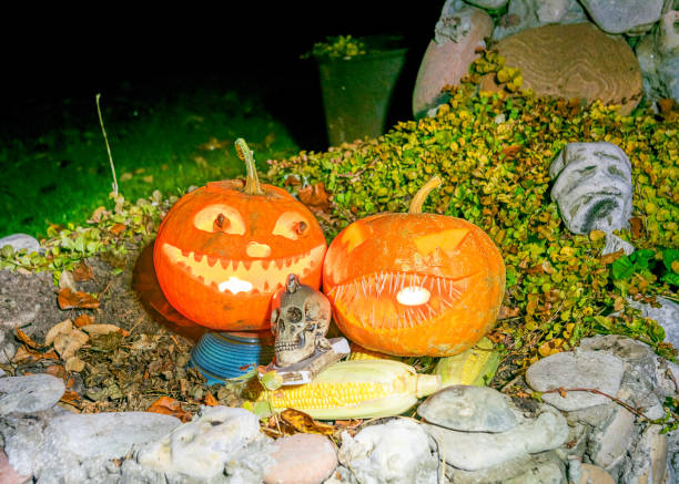 istock halloween composition with smiling pumpkins in the dark, and halloween accessories, corn cobs, skull, halloween in autumn 1433756186