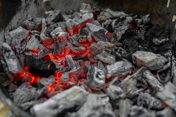 brûler du bois de chauffage avec une flamme - crisis house burning color image photos et images de collection