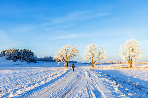 Falköping, Sweden -December 27, 2021: Woman walking on a snowy country road