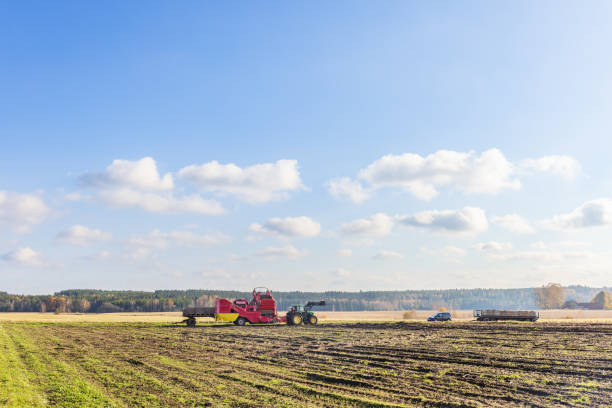 Tidaholm, Sweden -October 25, 2021: Machine picking of potatoes on a field