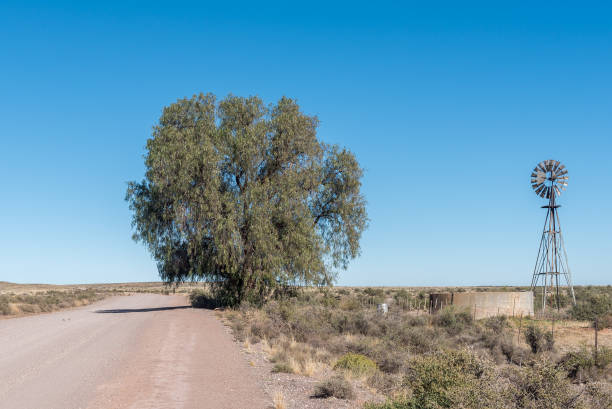 molino de viento, presa, árbol grande, en la carretera entre loxton y fraserburg - the karoo fotografías e imágenes de stock