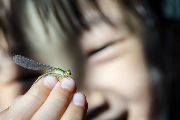 a Asian girl catching a damselfly.