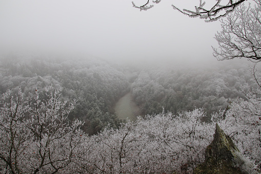 Dreamy scenic foggy view of the forest surrounding Bernkastel-kues as seen from Maria Zill viewpoint in Germany