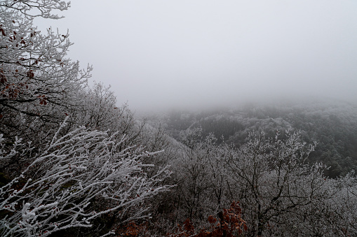 Aerial view of the fog and frost covered valley surrounding Bernkastel-kues in Germany during winter