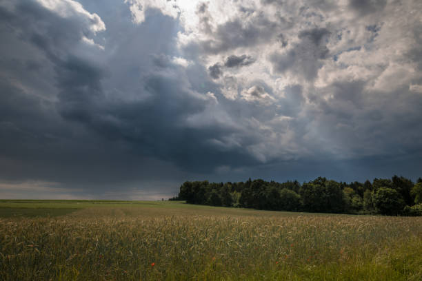 istock Dark clouds over a meadow field forest and thunderstorm brewing in summer, Germany 1433766563