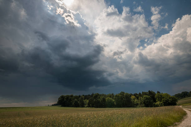 istock Dark clouds over a meadow field forest and thunderstorm brewing in summer, Germany 1433766565