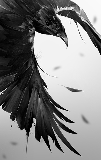 art bird raven in fast flight with wings