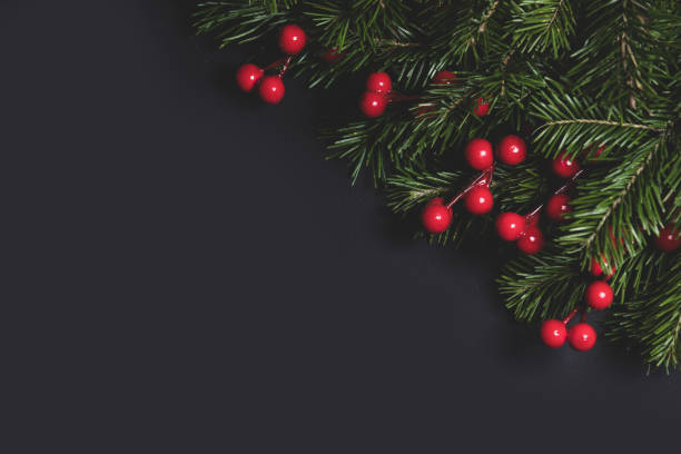 istock Christmas fir branches and berries 1433772853
