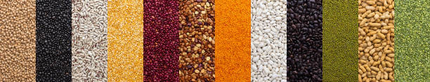 istock Banner of different types of legumes 1433774134
