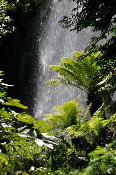 Photo of Jardin Extraordinaire, a garden in Nantes