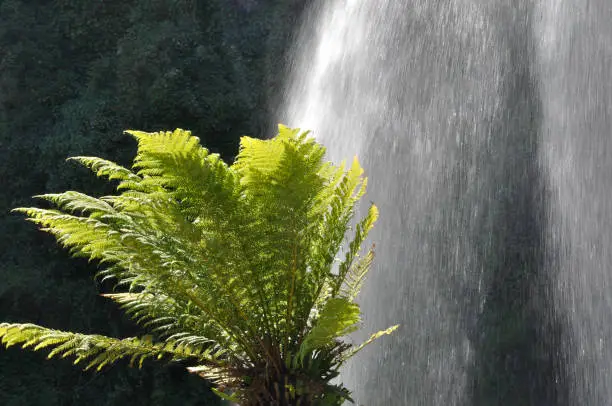 Photo of Jardin Extraordinaire, a garden in Nantes