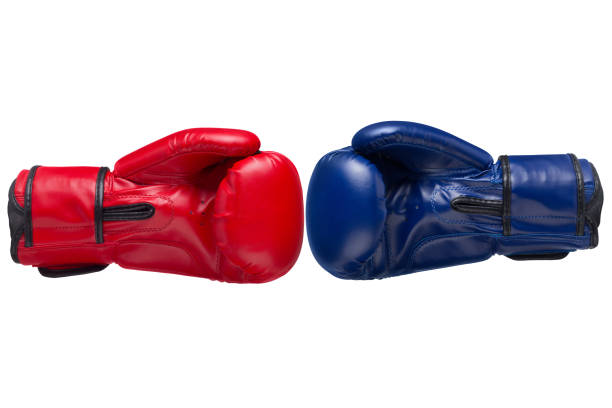 istock Two boxing gloves, blue and red, towards each other, competition, on a white background 1433782359