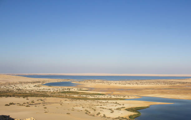 hermoso panorama del lago inferior wadi el rayan - magic lake desert, parque nacional, fayoum, egipto - fayoum fotografías e imágenes de stock