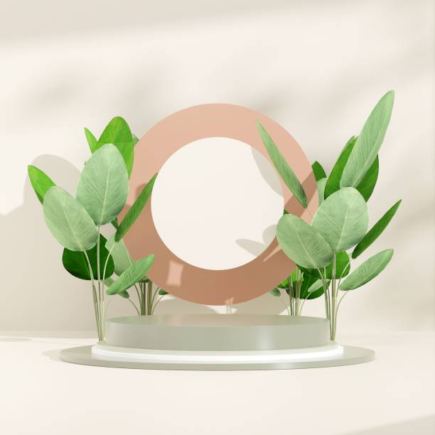 istock 3D rendering round product display podium decorated with leaves on both sides with white background 1433784446