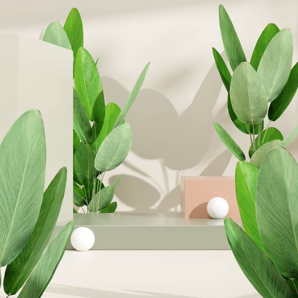 istock 3D rendering product display podium decorated with cubes  small balls and green leaves on both sides 1433784449