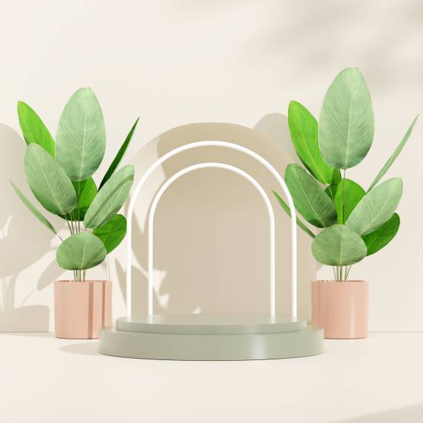 istock 3D rendering arched product display podium decorated with green plants on white background 1433784450