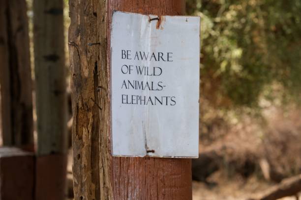 istock White sign with text beware of wild animals on a wooden post 1433784497