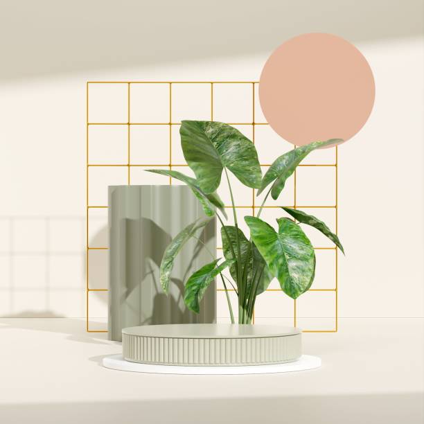istock 3D rendering product display podium with a plant a circle a rectangle in the grid background 1433784655