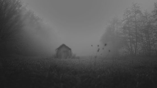 A grayscale shot of small cottage in the woods on a misty day