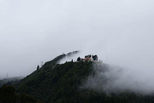 A forested mountain in the mist