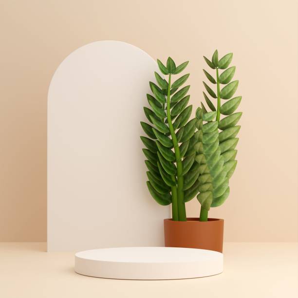 istock 3D rendering of green emerald palm trees in a brown pot on a light pink background with a white arch 1433787586