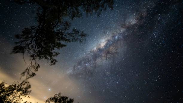 istock Starscape in the Tropics 1433788156