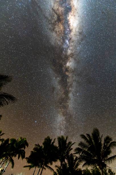 istock Starscape in the Tropics 1433788157