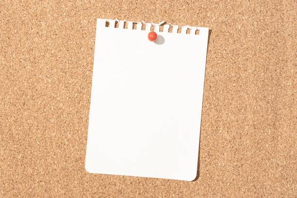 Notice board with blank paper copy space sheets pinned to cork board. On tiled wall.