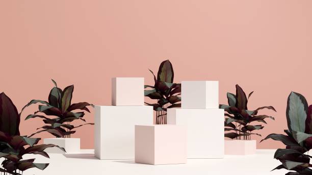 istock 3d rendering of leaves with a pink background and square shapes 1433788749