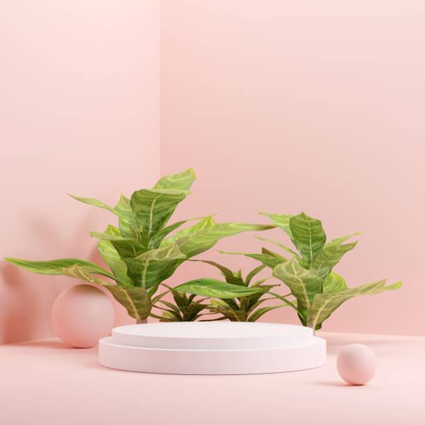 istock 3d rendering of leaves with a pink background and rocks 1433788770