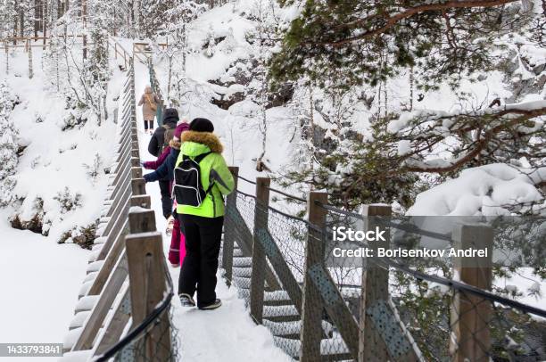 A Group Of People In The Winter Forest On A Suspension Bridge In The National Park Of Lapland Stock Photo - Download Image Now