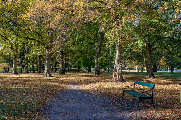 istock Autumn in Sweden 1433794042