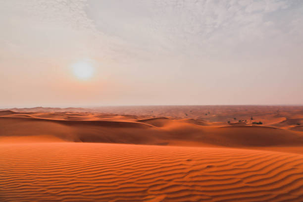 istock Sunset in sand dunes of desert 1433796609